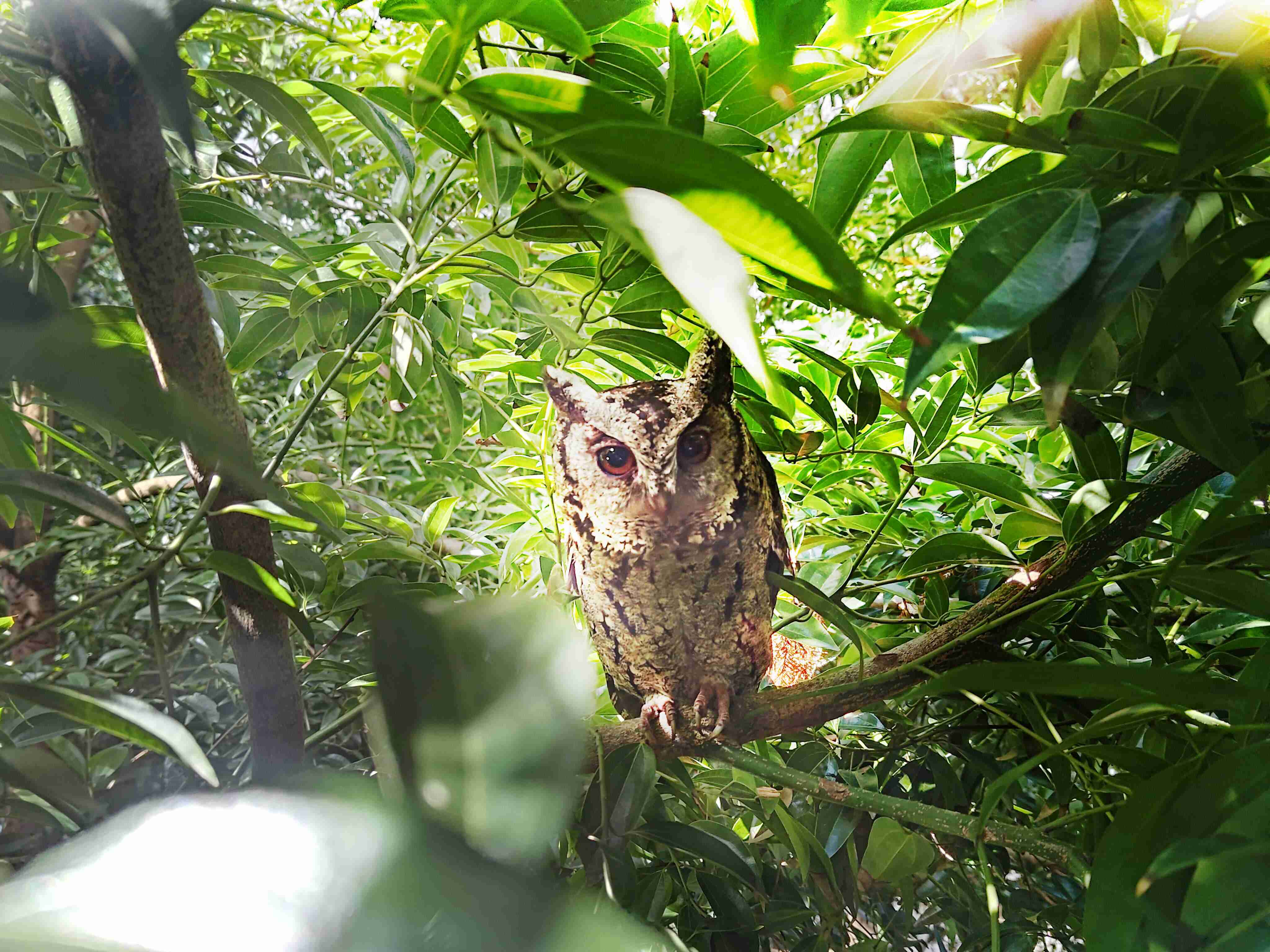 财神娱乐致力提倡净零绿生活，，，，16年以来在全球各厂区植树逾百万棵，，造就各厂区树木蔚然成林，，，犹如森林工厂，，，，成为许多生物的栖息地